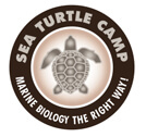sea-turtle-logo_under50